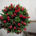 2009 02 17 007555.JPG